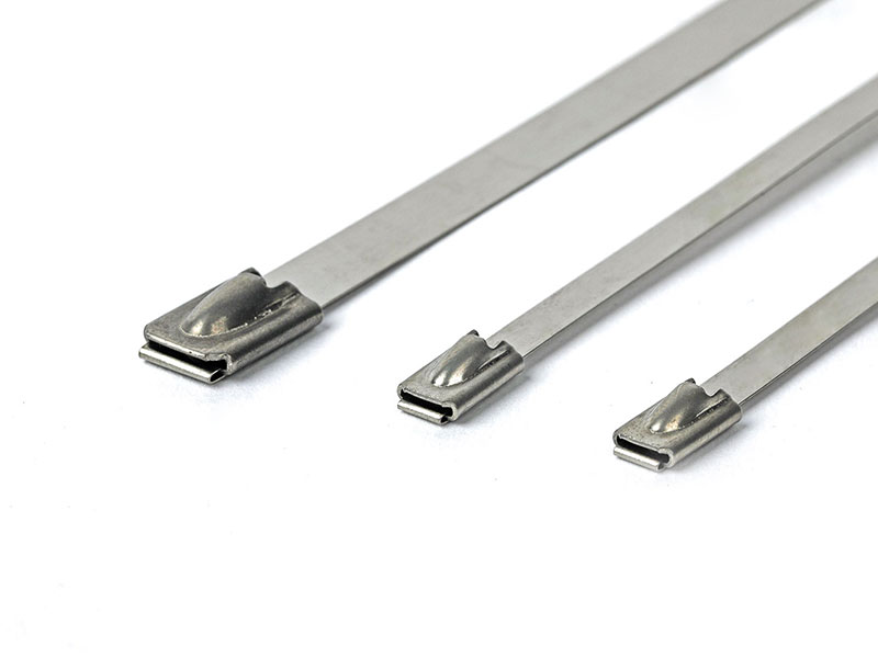 Stainless Steel Cable Ties