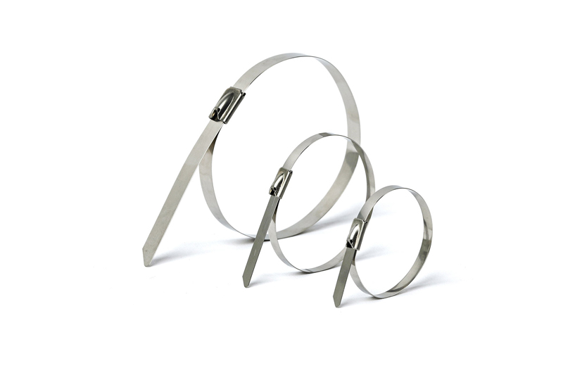 Stainless Steel Cable Ties